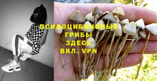 винт Бердск