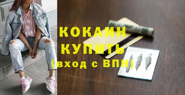 стаф Артём
